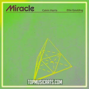 Calvin Harris, Ellie Goulding - Miracle (Akarasu Instrumental)