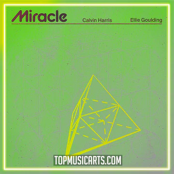 Calvin Harris, Ellie Goulding - Miracle (Akarasu Instrumental)